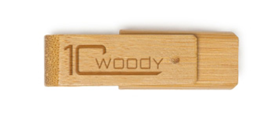 Woody's 10th anniversary USB